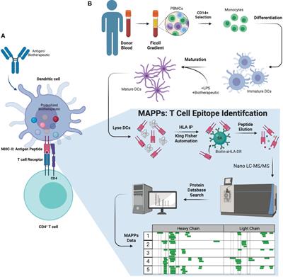 Development of a semi-automated MHC-associated peptide proteomics (MAPPs) method using streptavidin bead-based immunoaffinity capture and nano LC-MS/MS to support immunogenicity risk assessment in drug development